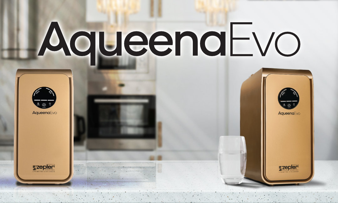 Water purification device AqueenaEvo
